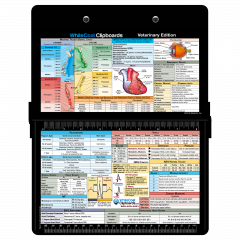 Veterinary Medicine