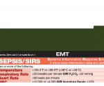 WhiteCoat Clipboard® - Vertical - Army Green EMT Edition