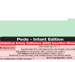 WhiteCoat Clipboard® Vertical - Mint Pediatric Edition