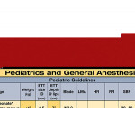 WhiteCoat Clipboard® Vertical - Red Anesthesia Edition
