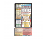 Flat Physical Therapy Adhesive Reference Label 