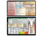 Occupational Therapy Adhesive Reference Label