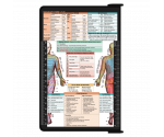 WhiteCoat Clipboard® - Black Physical Therapy Edition