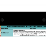 WhiteCoat Clipboard® - Blackout Dietitian Edition