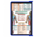 WhiteCoat Clipboard® - Blue Physical Therapy Edition