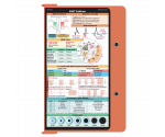 WhiteCoat Clipboard® - Coral EMT Edition