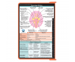 WhiteCoat Clipboard® - Coral Neurology Edition