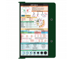 WhiteCoat Clipboard® - Green EMT Edition