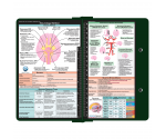 WhiteCoat Clipboard® - Green Neurology Edition