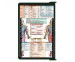 WhiteCoat Clipboard® - Green Physical Therapy Edition