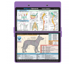 WhiteCoat Clipboard - Lilac Canine Edition