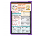 WhiteCoat Clipboard® - Lilac Cardiology Edition