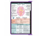 WhiteCoat Clipboard® - Lilac Neurology Edition