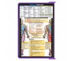 WhiteCoat Clipboard® - Lilac Physical Therapy Edition