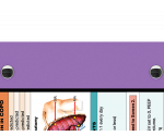 WhiteCoat Clipboard® - Lilac Respiratory Edition