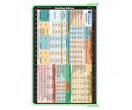 WhiteCoat Clipboard® - Mint Dietitian Edition