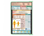 WhiteCoat Clipboard® - Mint EMT Edition