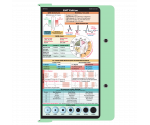 WhiteCoat Clipboard® - Mint EMT Edition