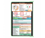 WhiteCoat Clipboard® - Mint Medical Edition