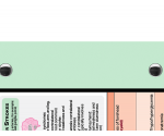 WhiteCoat Clipboard® - Mint Neurology Edition