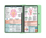 WhiteCoat Clipboard® - Mint Neurology Edition