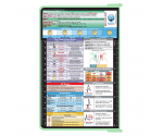 WhiteCoat Clipboard® - Mint Nursing Edition