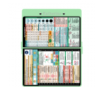WhiteCoat Clipboard® - Mint Nursing Edition