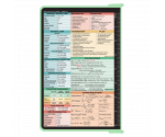 WhiteCoat Clipboard® - Mint Pharmacy Edition