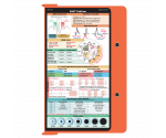 WhiteCoat Clipboard® - Orange EMT Edition