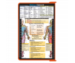 WhiteCoat Clipboard® - Orange Physical Therapy Edition