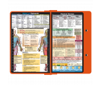 WhiteCoat Clipboard® - Orange Physical Therapy Edition