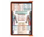 WhiteCoat Clipboard® - Orange Physical Therapy Edition