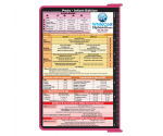 WhiteCoat Clipboard® - Pink Pediatric Infant Edition