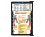WhiteCoat Clipboard® - Red Physical Therapy Edition