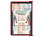 WhiteCoat Clipboard® - Red Physical Therapy Edition