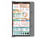 WhiteCoat Clipboard® - Silver EMT Edition