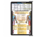 WhiteCoat Clipboard® - Silver Physical Therapy Edition