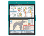 WhiteCoat Clipboard - Teal Canine Edition