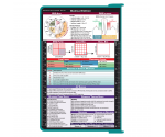 WhiteCoat Clipboard® - Teal Medical Edition 