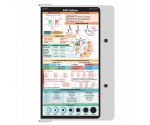 WhiteCoat Clipboard® - White EMT Edition