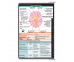 WhiteCoat Clipboard® - White Neurology Edition