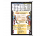 WhiteCoat Clipboard® - White Physical Therapy Edition