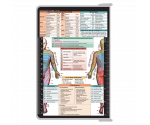 WhiteCoat Clipboard® - White Physical Therapy Edition