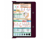 WhiteCoat Clipboard® - Wine EMT Edition
