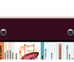 WhiteCoat Clipboard® - Wine Respiratory Edition