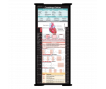 WhiteCoat Clipboard® Trifold - Blackout Cardiology Edition