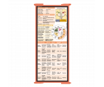 WhiteCoat Clipboard® Trifold - Coral Cardiology Edition
