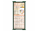 WhiteCoat Clipboard® Trifold - Green Cardiology Edition