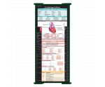 WhiteCoat Clipboard® Trifold - Green Cardiology Edition