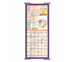 WhiteCoat Clipboard® Trifold - Lilac Cardiology Edition